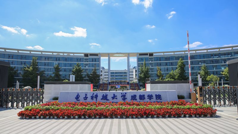 在众多芯片型号中，如何筛选出性价比高的型号呢？以下是一些关键特征：